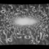 01oculus