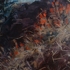 Dscf0075