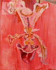 Against The Grain,Kate Mayne