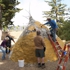 Cabrillo_hut_10