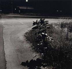 Longmont, Colorado,Robert Adams