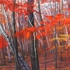 Stand_of_birches_sm