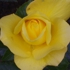 My_photos_042