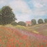 My_photos_023