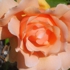 My_photos_007
