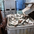 _mg_9759_dxo_raw