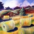 Hayfield__gold_frame