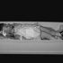 Foreverdead
