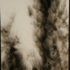 Heavy_incense