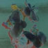 Pinkcroppedsolarized