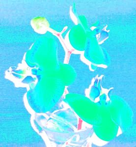 Totallyblue