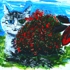 De_kat_final