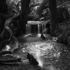 Salal_creek_trail