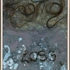Chemo_hair_and_lint1