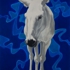 Donkey07_13