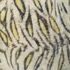 White_tiger_115_x200cm