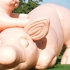 Mccarthybgpiggies