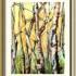 Tangle_of_birches_new