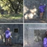 Videostills