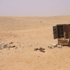 Sahara