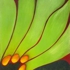 P1000872