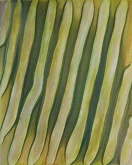 "Flow",ROGER WEIK