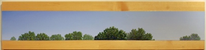 Dsc_0046_web_800x197