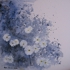 Daisy_e