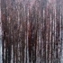 Melting_canyons_in_my_mind