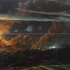 Roy-1