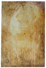 Burning House,Shannon Michael Terrry
