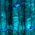 20110224002146-affinity
