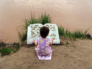 receding/reseeding (Rio Grande),Basia Irland
