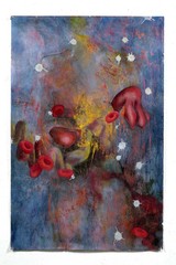 ,Anita Sinclair