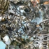 Ziperstein_cluster_lowres