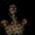 Ftosca_donato2