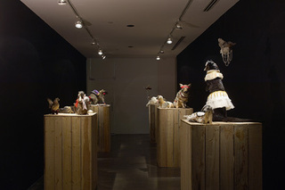 Beauty Plus Pity (installation view),Emily Vey Duke & Cooper Battersby