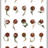 Keysviv10001