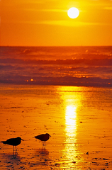 S-121a_l_+_mesmerizing_moment_