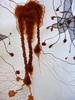 Dscf0027
