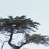 May_jong_registered