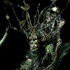 Vampoonga_
