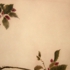 16548_slider