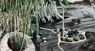 Landscaping II Part 3,Rob Carter