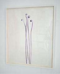 Fiddlwhead Fern,Adam Fuss