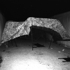 Zxnightvision16a