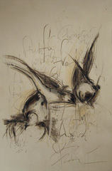 ,Francine Turk