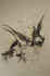 Cas_turk-sparrows_with_journaling-15x25