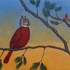 Cardinal-squirrel