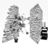 Pasted_graphic_3
